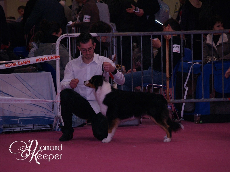 Forever lovely (Sans Affixe) - EXCELLENT classe INTERMEDIAIRE