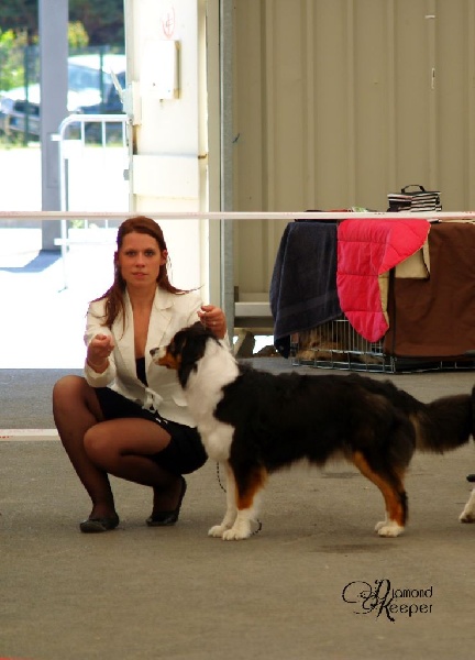 Forever lovely (Sans Affixe) - 3EME EXCELLENT classe OUVERTE