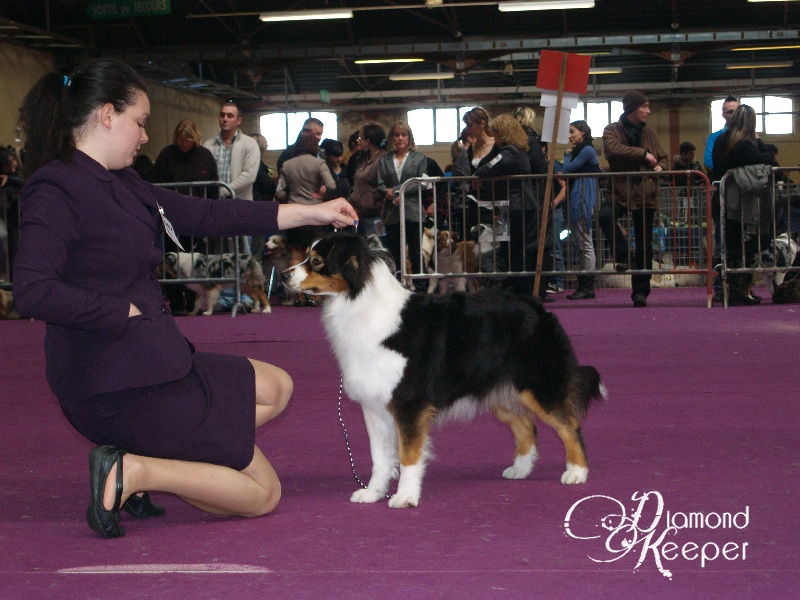 Forever lovely (Sans Affixe) - 4EME EXC classe OUVERTE