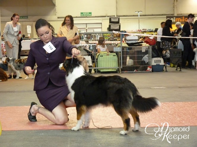 Forever lovely (Sans Affixe) - 2EME EXC classe OUVERTE