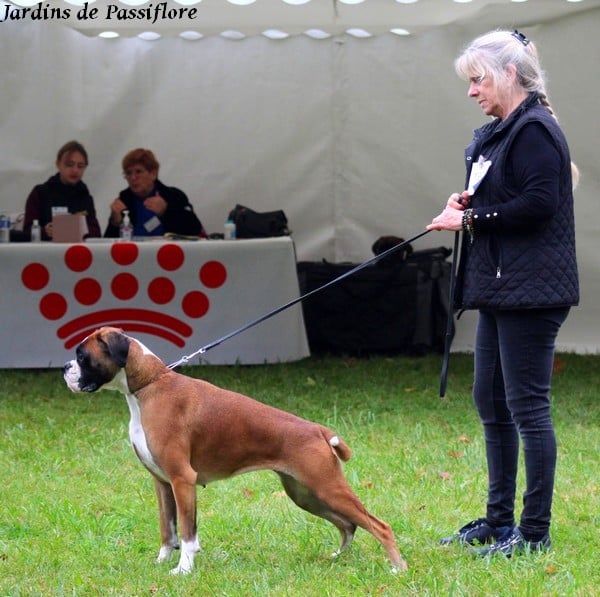 CH. ULINE des Jardins de Passiflore