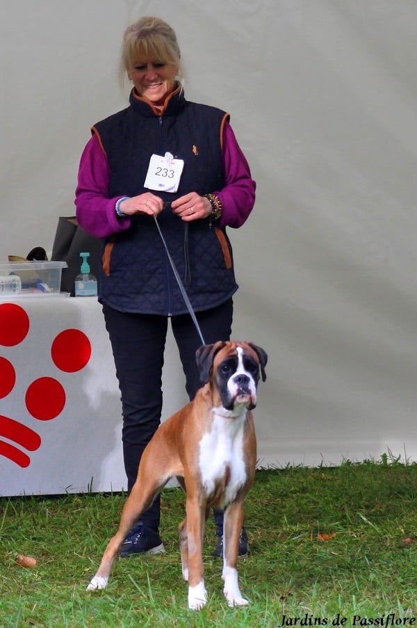 CH. ULINE des Jardins de Passiflore