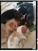 - Les bébés de coffee et mimi.