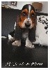 - Notre bébé disponible