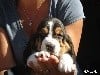 - Adorable garçon disponible.