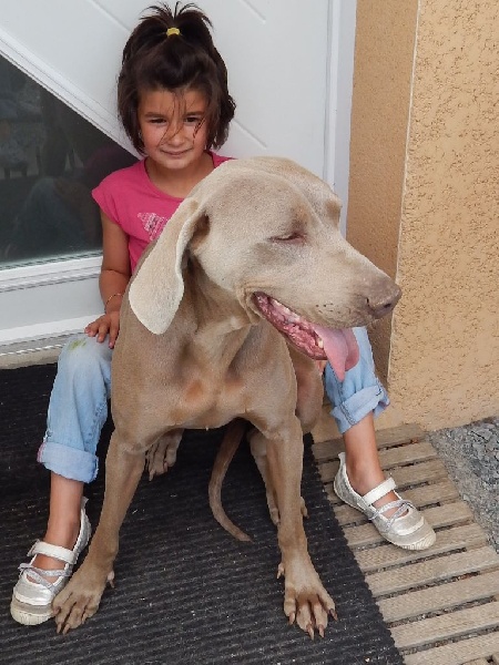 Publication : Du Cercle De Léma Auteur : le cercle de léma