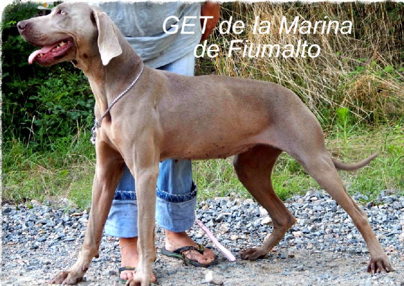 Publication : Du Cercle De Léma Auteur : le cercle de léma