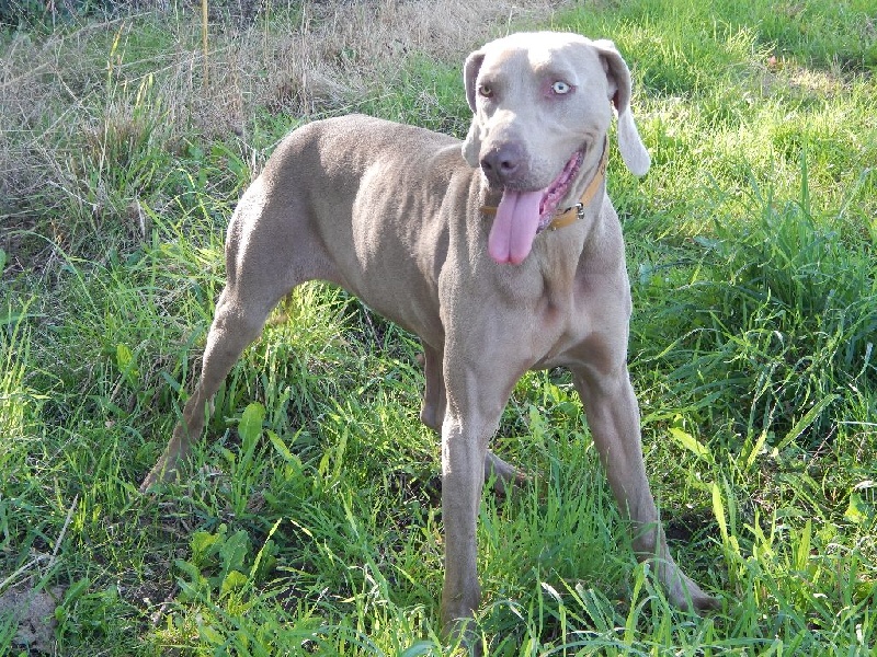 Publication : Du Cercle De Léma Auteur : le cercle de léma