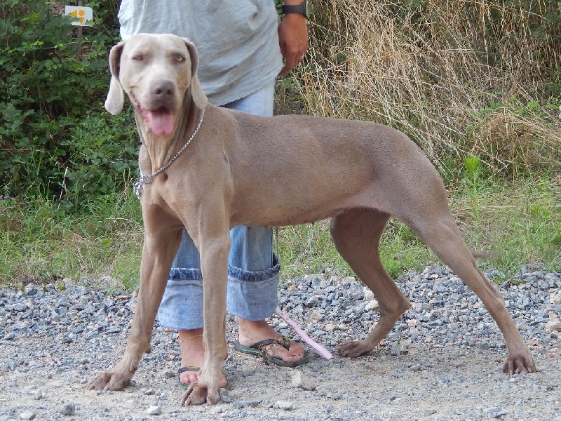 Publication : Du Cercle De Léma Auteur : le cercle de léma
