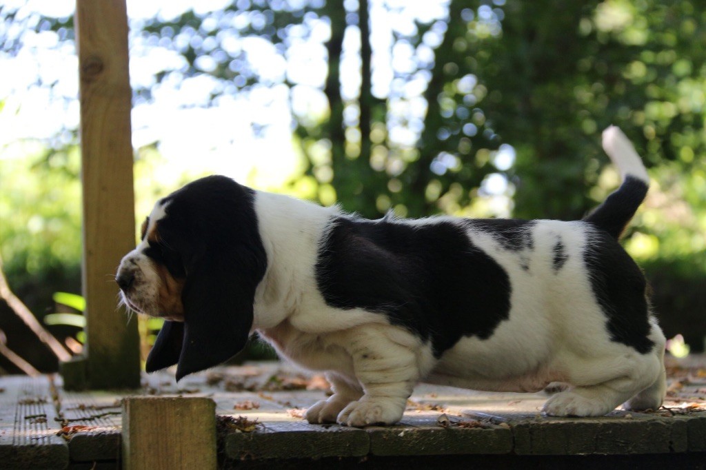 Publication : Du Cercle De Léma