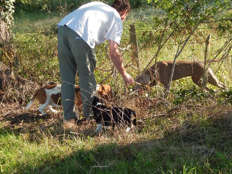 Publication : Du Cercle De Léma Auteur : le cercle de léma