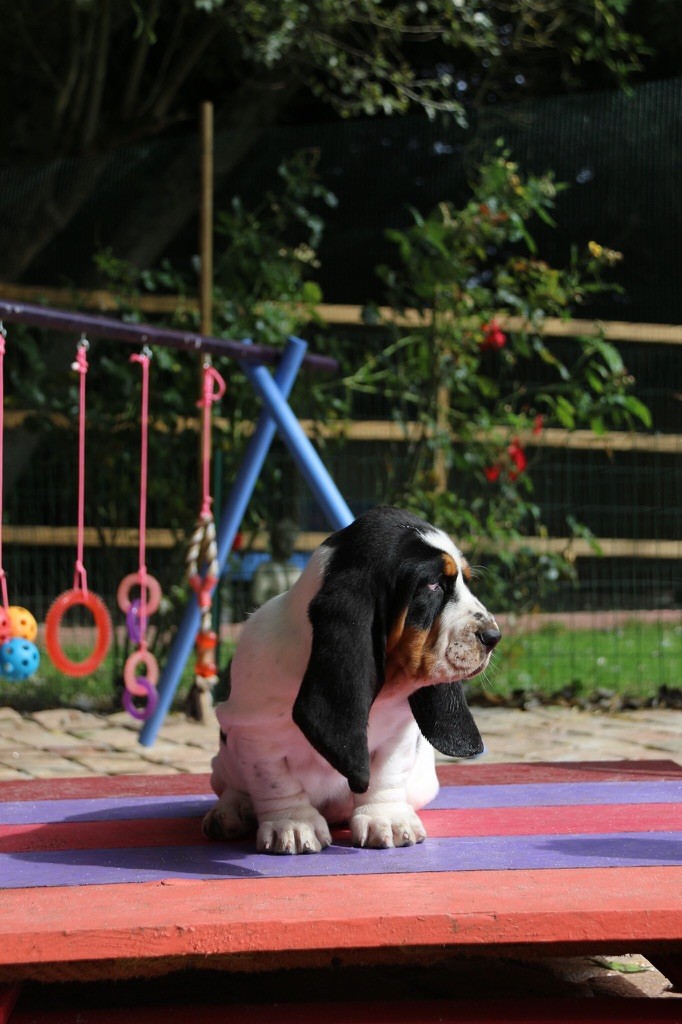 Publication : Du Cercle De Léma