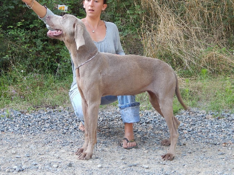 Publication : Du Cercle De Léma Auteur : le cercle de léma