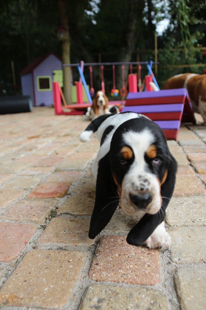 Publication : Du Cercle De Léma