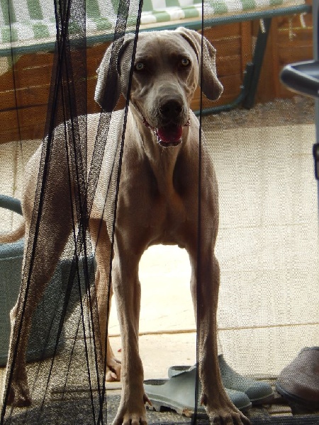 Publication : Du Cercle De Léma Auteur : le cercle de léma