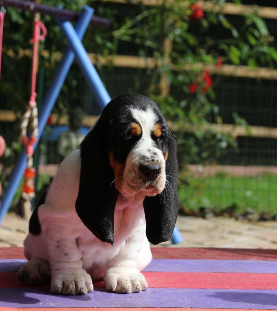 Publication : Du Cercle De Léma