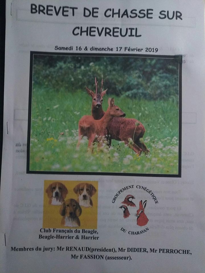 des Cotes de la Saunade Michoko - Brevet Très Bon 140 points