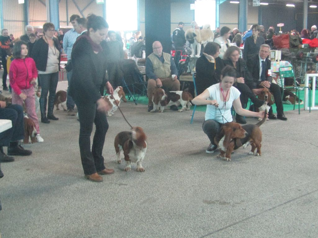 des Cotes de la Saunade Michoko - 2eme Excellent en classe travail