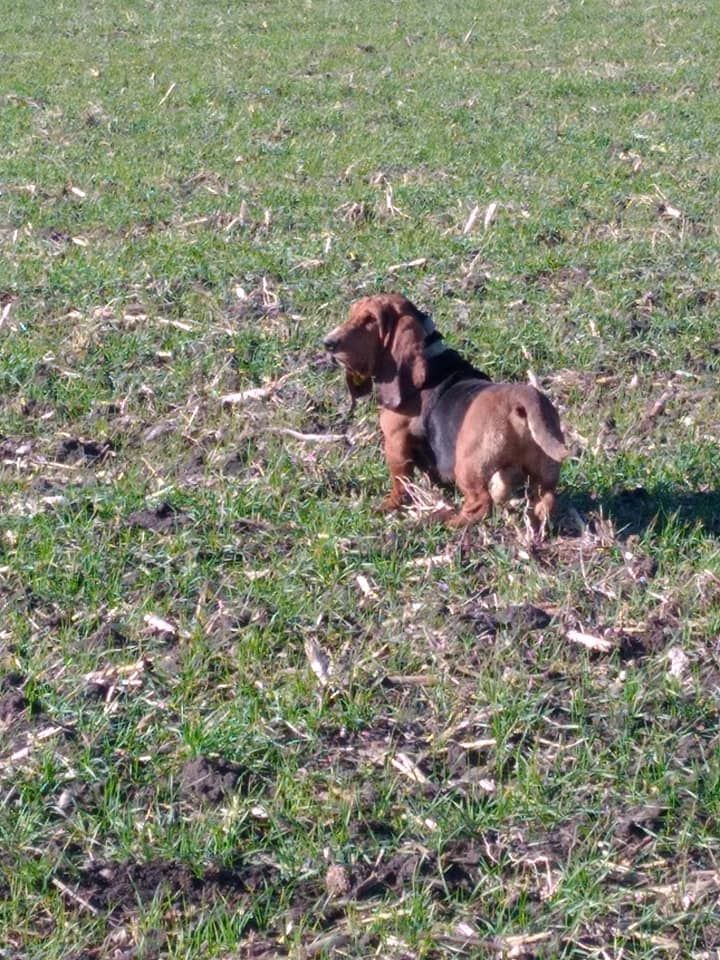 des Cotes de la Saunade Michoko - Obtention du brevet avec 105 points