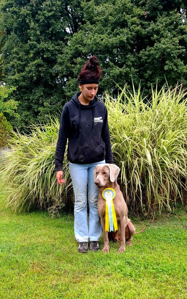 CH. Ouragan Du Triangle De La Seigliere - 2exc en classe champion