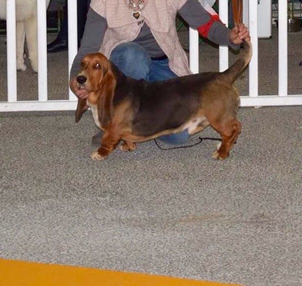 des Cotes de la Saunade Michoko - Très Bon en classe jeune