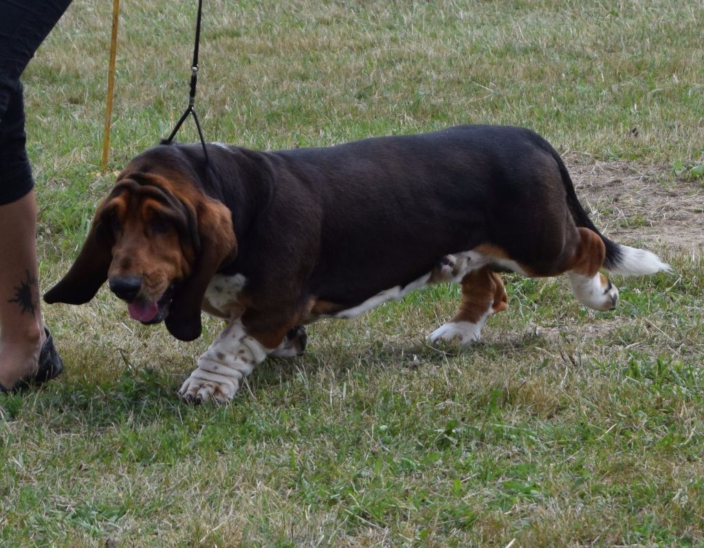 Joseph Des sources sacrees - 1er Excellent en classe travail