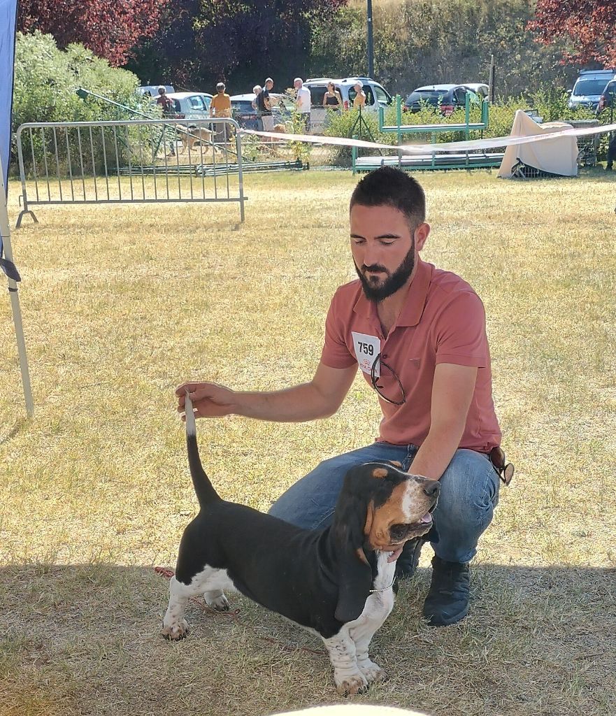 Sologne Du Cercle De Léma - 3e TB en classe jeune