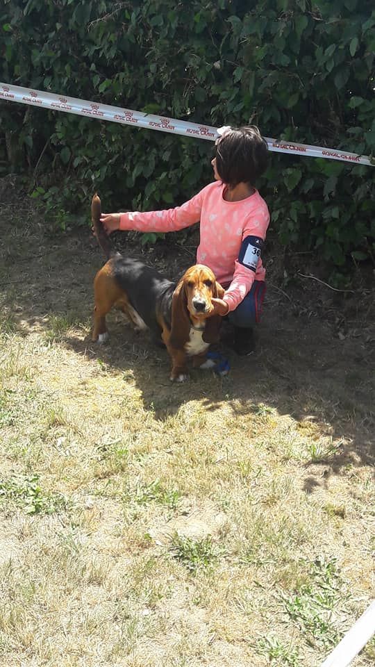 des Cotes de la Saunade Michoko - 2e excellent en classe travail/RCACS