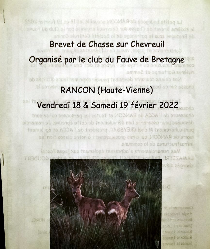 Rivale Du Cercle De Léma - 125 points Bon