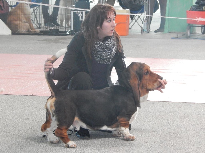 Joseph Des sources sacrees - 2eme TRES BON en classe jeune