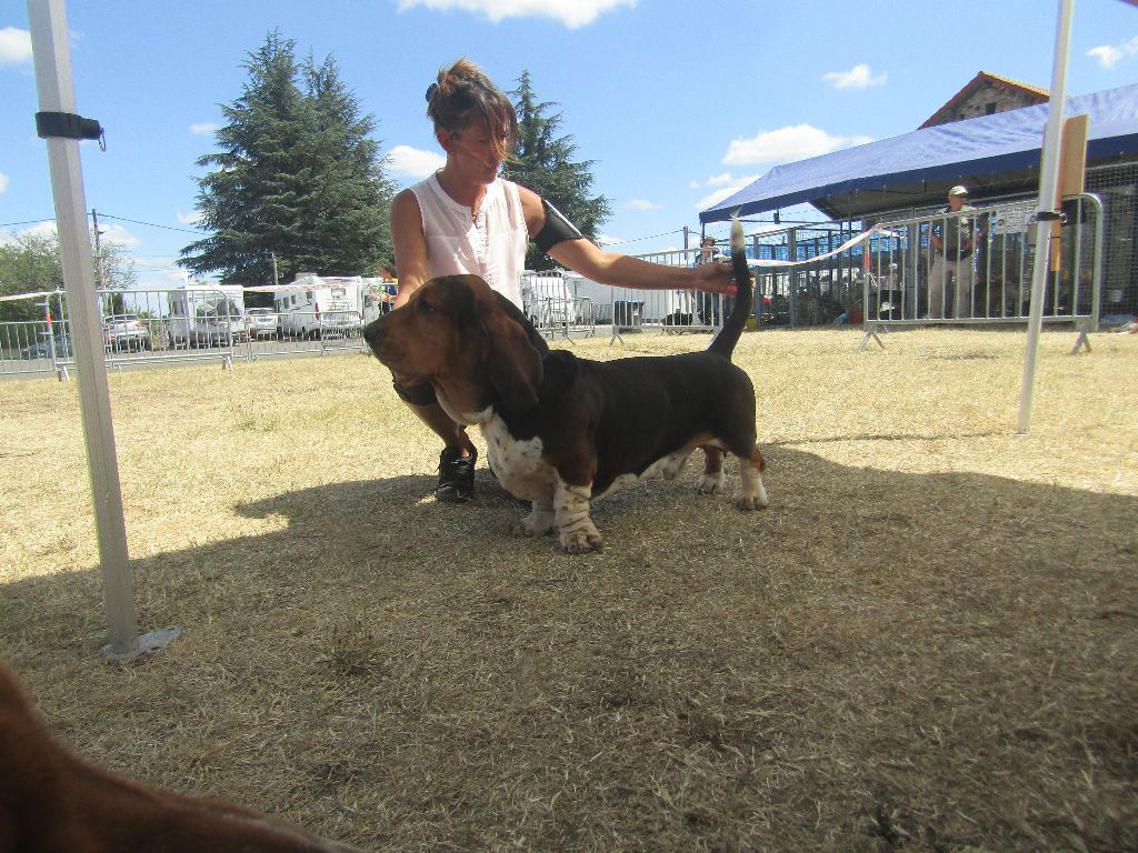 Joseph Des sources sacrees - 1er Excellent en classe travail