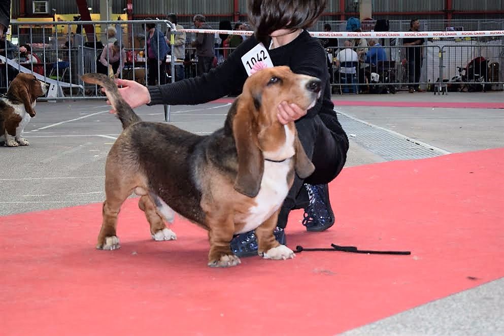 des Cotes de la Saunade Michoko - 2e Très Bon en classe jeune