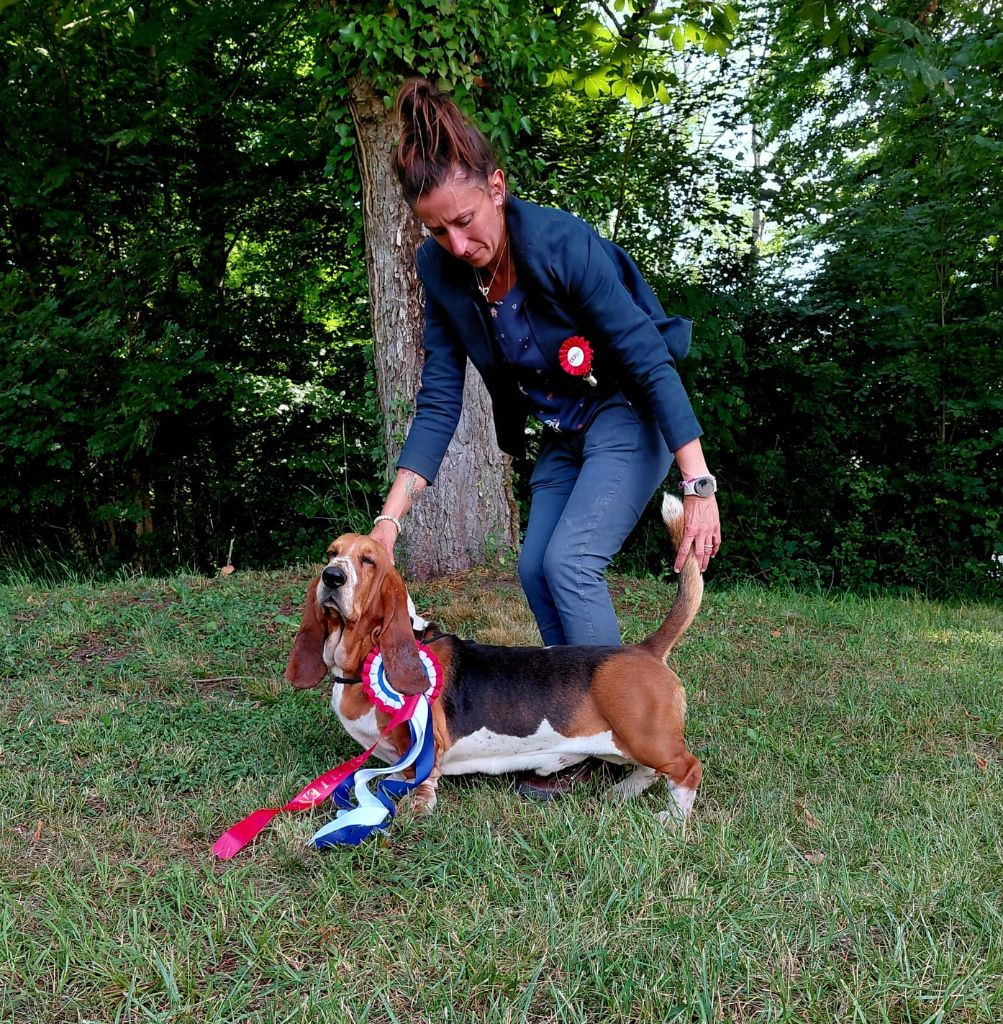 CH. Rallier domaine de léon de la seille - 4e Excellent en classe champion