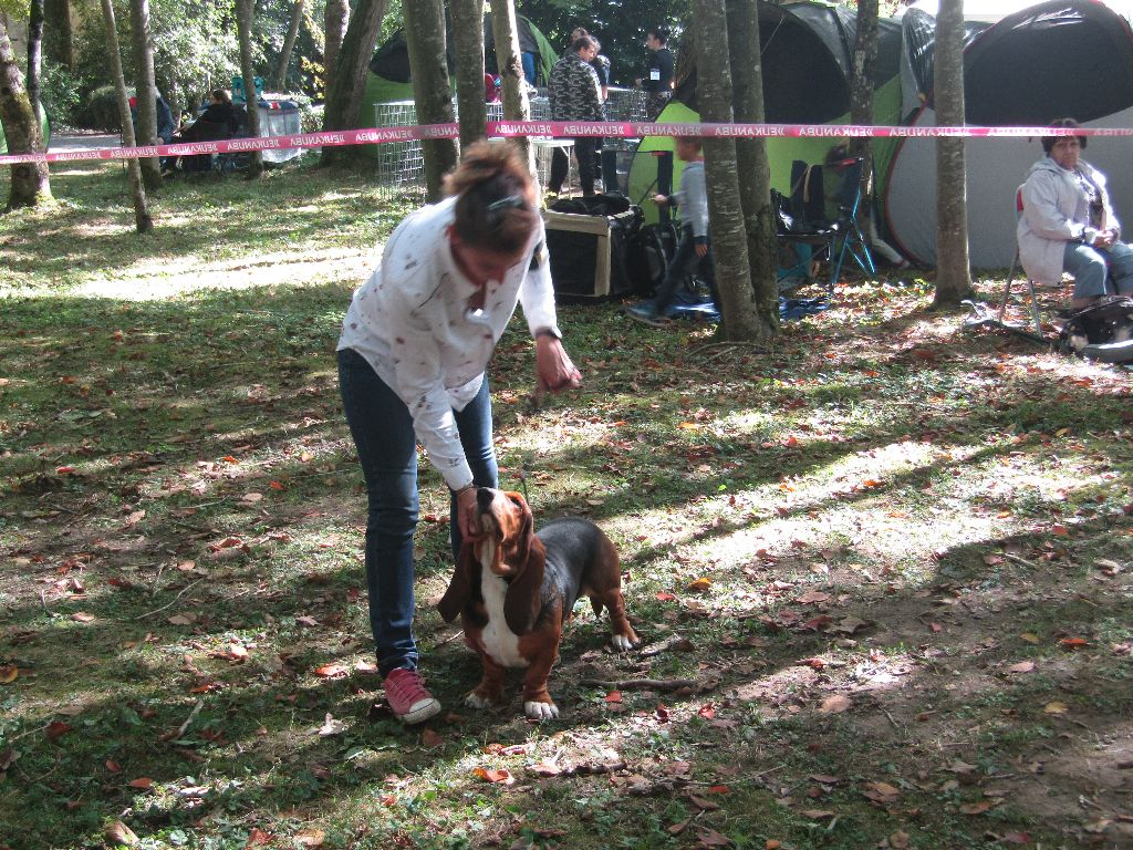 des Cotes de la Saunade Michoko - 1er Excellent en classe intermédiaire/ CACS