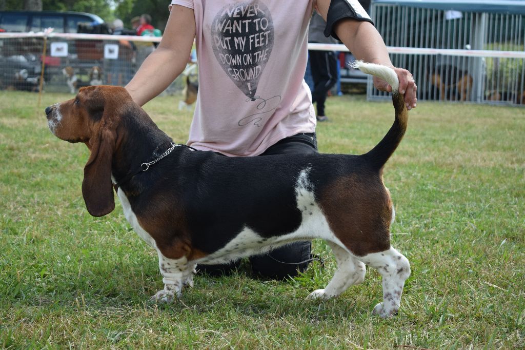 CH. des Cotes de la Saunade Miette - 3e TRÈS BON + confirmation