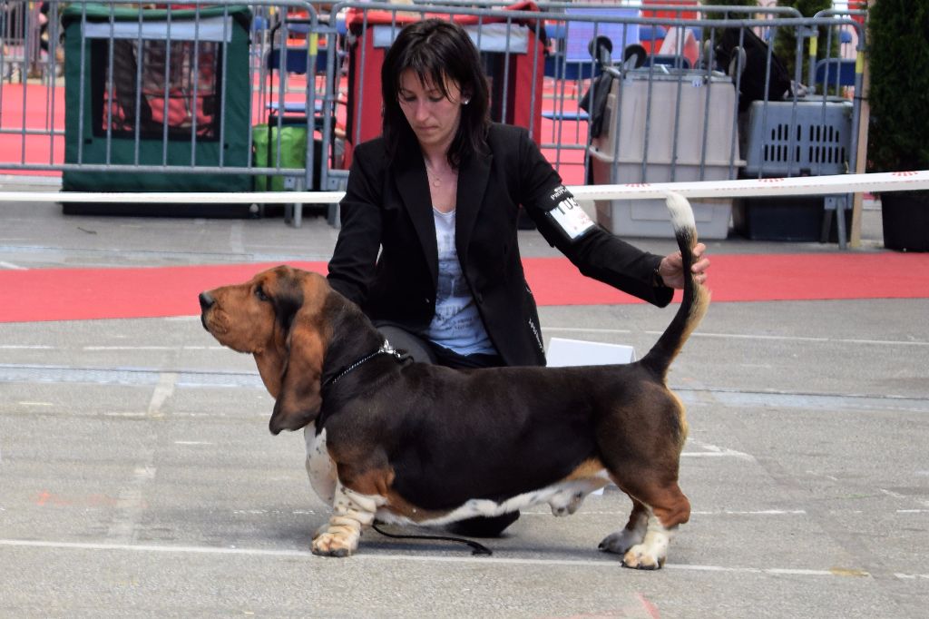 Joseph Des sources sacrees - 2e Excellent en classe travail