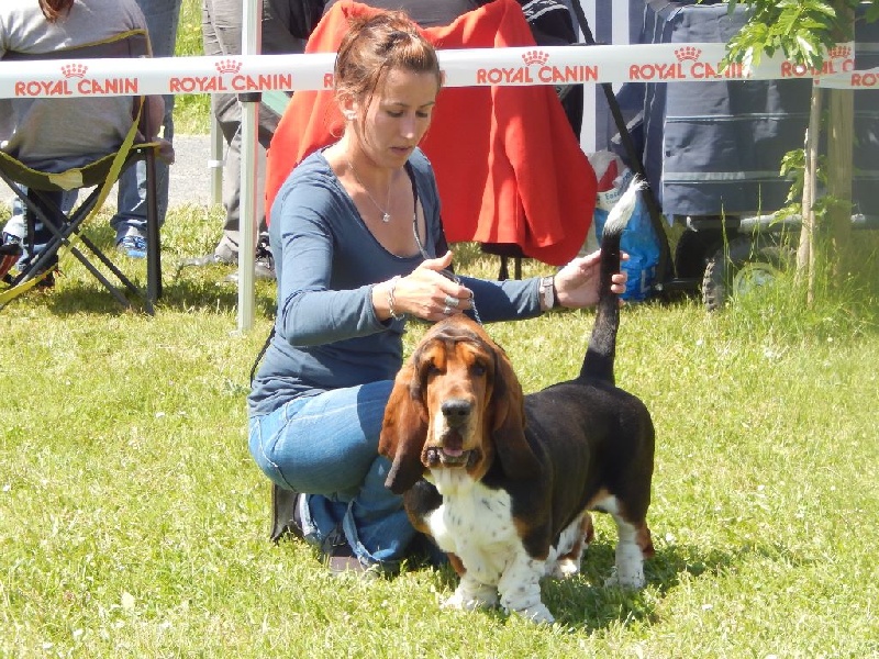 Joseph Des sources sacrees - 1er TRES BON en classe jeune