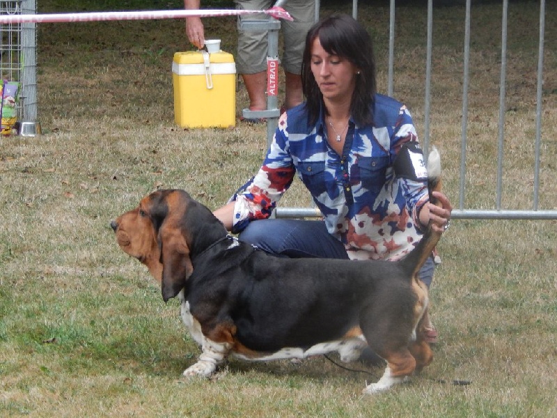 Joseph Des sources sacrees - 3 eme TRÈS BON en classe ouverte