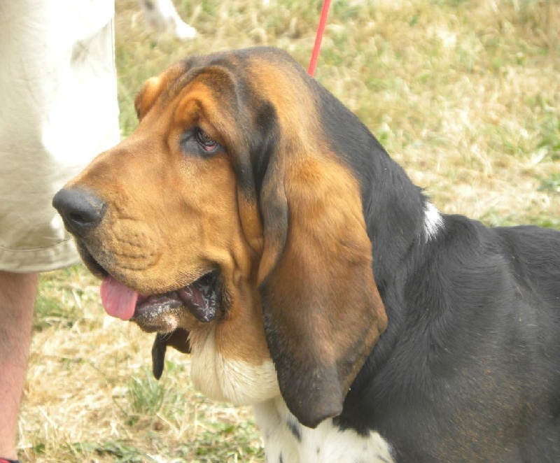 Joseph Des sources sacrees - Confirmation en classe jeune