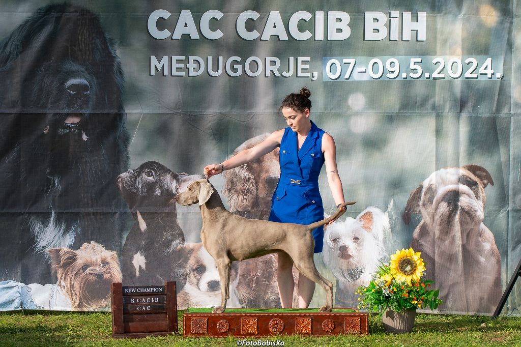 Get De la marina de fiumalto - Cacs/RCACIB-jr1/cacs-jr2-/CACS/RCACIB