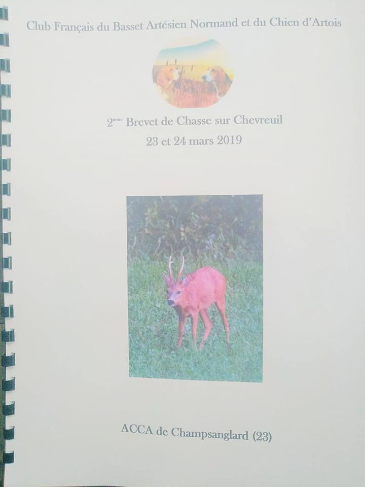 Joseph Des sources sacrees - 110 points Brevet AB