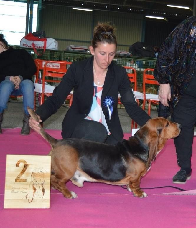des Cotes de la Saunade Michoko - 2e Très Bon en classe travail