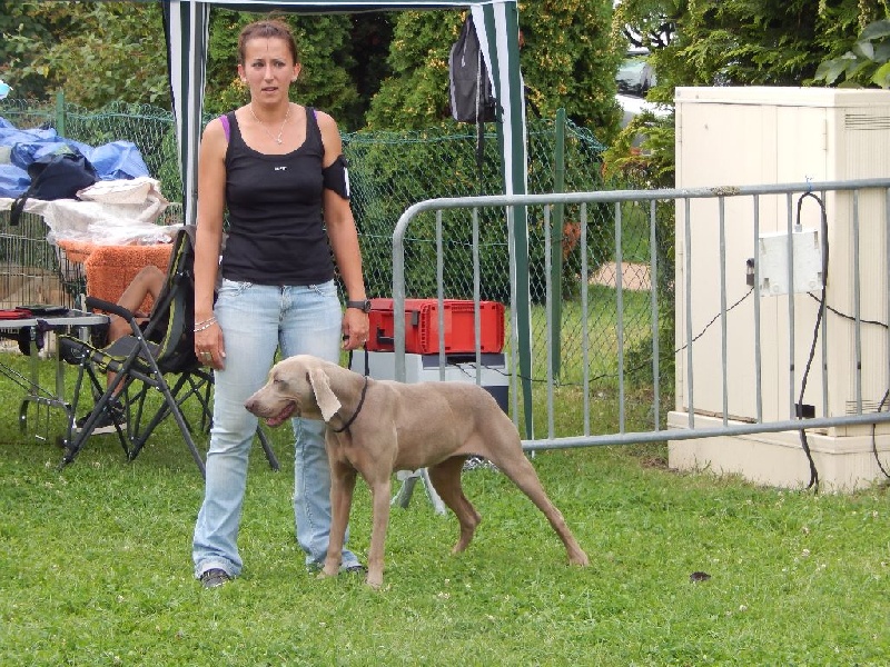 Get De la marina de fiumalto - Très Bon en classe ouverte