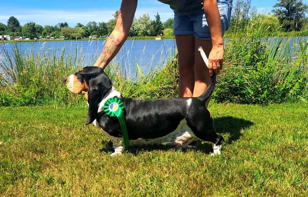 Sologne Du Cercle De Léma - 2eme.exc. en classe travail