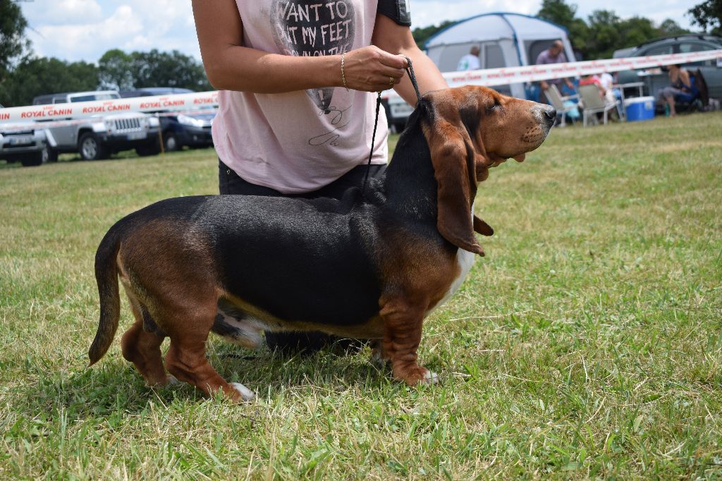 des Cotes de la Saunade Michoko - 2e TRÈS BON + confirmation