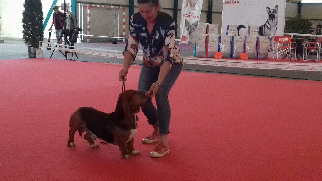 des Cotes de la Saunade Michoko - 2e excellent en classe travail/RCACS