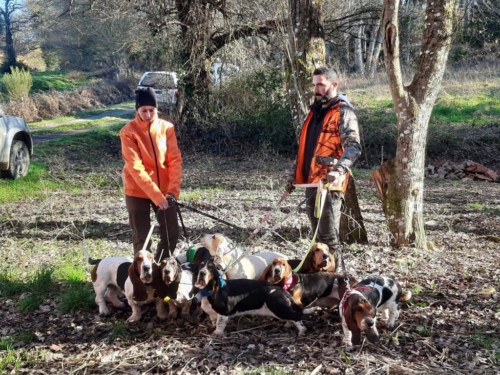 Sologne Du Cercle De Léma - 115 points Bon