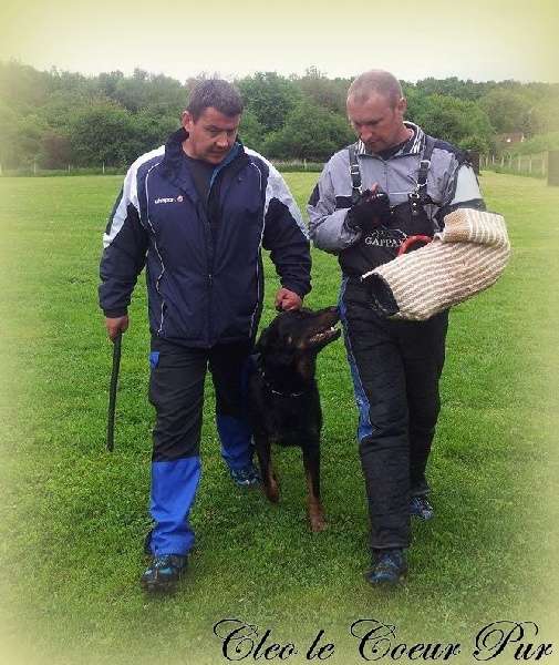 Cleo Le Coeur Pur - ZTP 98-94-98