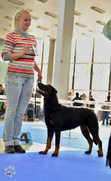 CH. Ciara Le Coeur Pur - excellent, CAC, CACIB. BOB