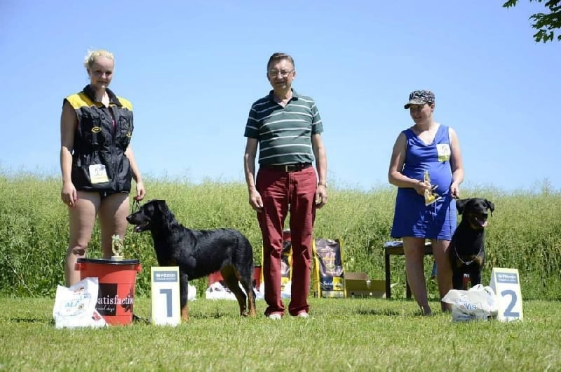 CH. Ciara Le Coeur Pur - excellent, CAC